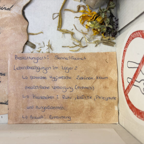 Objekt B.10 Diorama Detailansicht
